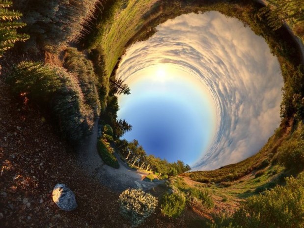 Down the Rabbit&nbsp;Hole